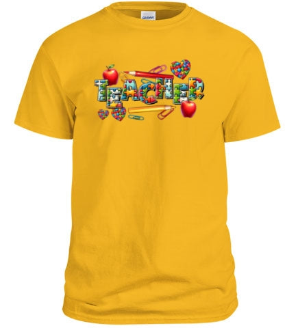 Autism Teacher